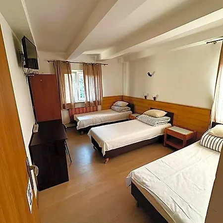 Tolek Hostel *